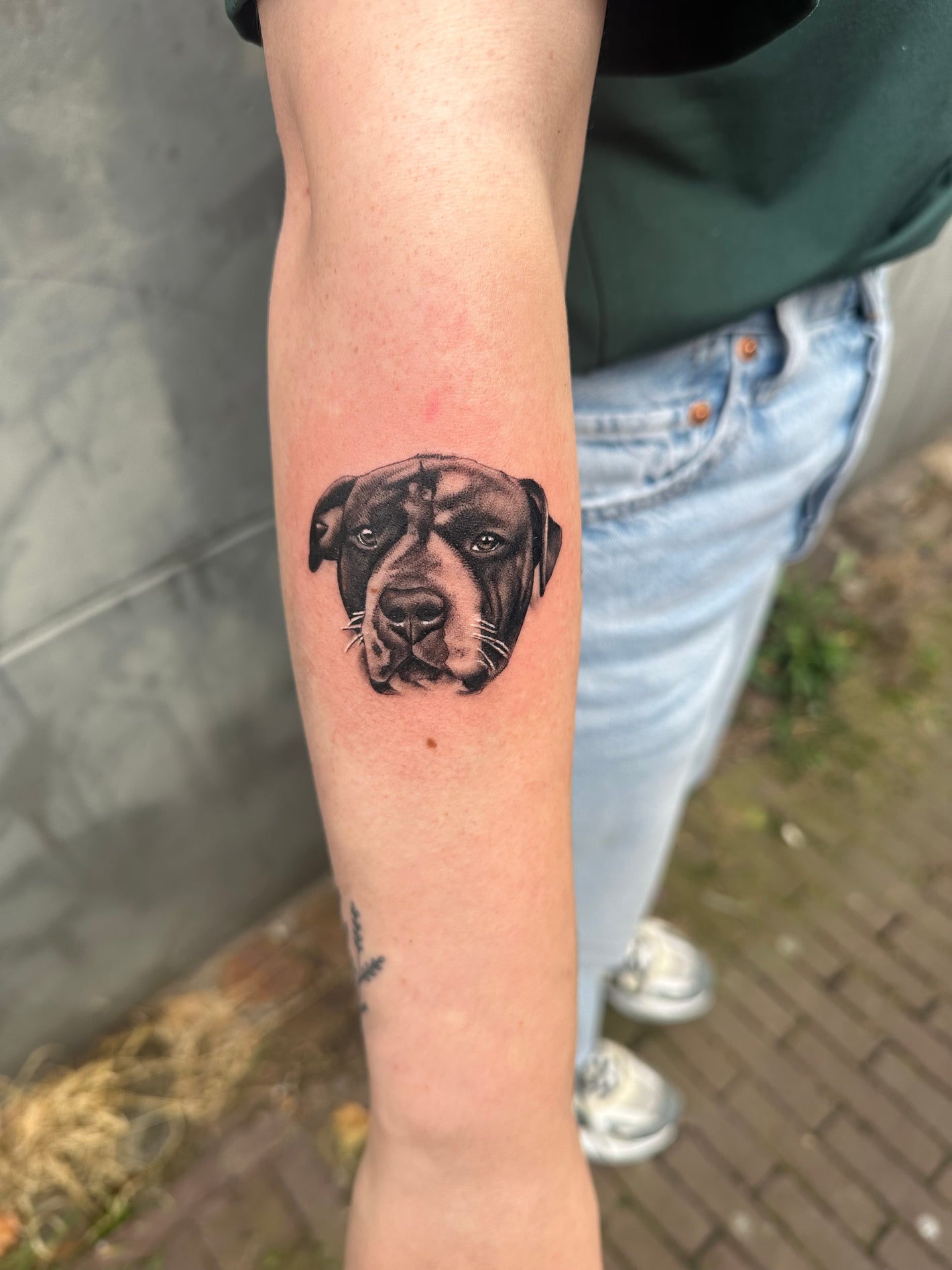 Dog pet tattoo