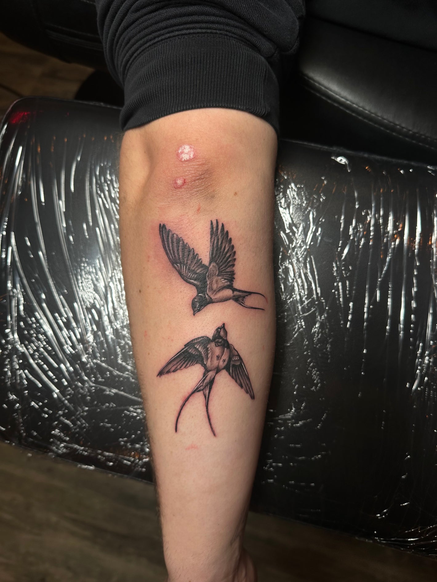 Realisme vogel tattoo